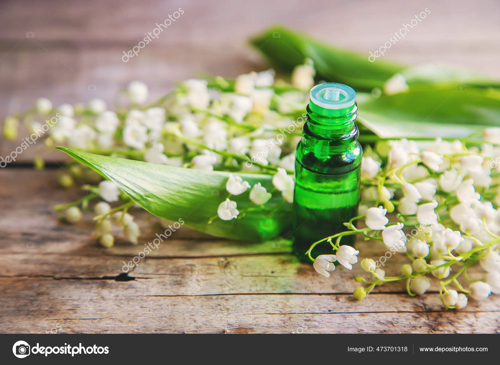 Lily Valley Essential Oil Small Bottle Selective Focus Nature Stock Photo  by ©yana-komisarenko@yandex.ru 473701318
